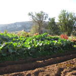 Sitanos, Crete - External View